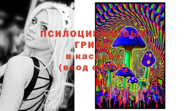 mdpv Бронницы