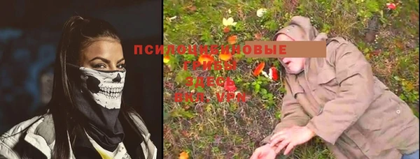 mdpv Бронницы