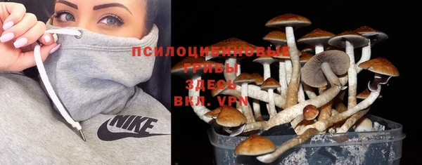 mdpv Бронницы