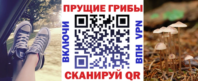 Псилоцибиновые грибы GOLDEN TEACHER  Калининец 